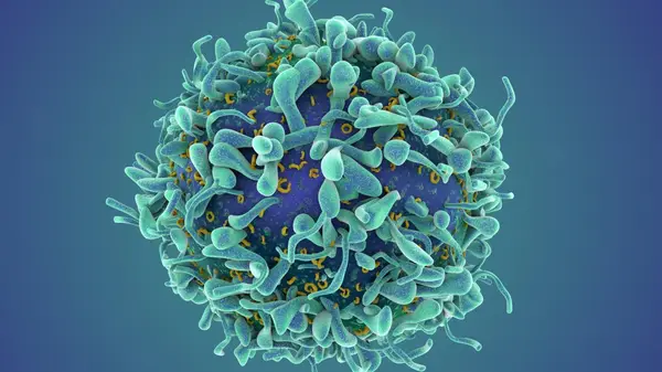 T cell research lab